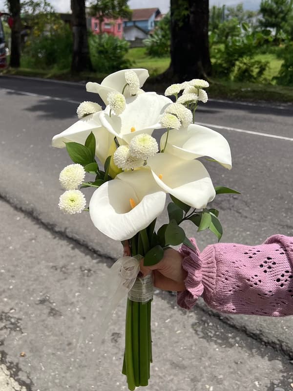 Calla Lily mix Pompom